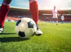 日沈阳国足,迎战巴林,备战世预赛,彩民之家网,中国彩民之家网官方,彩民之家网官网,彩民之家网首页